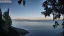 ./images/koeye/fitz-hugh/20250820/fitz-hugh20250820_073509M.jpg