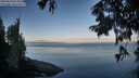 ./images/koeye/fitz-hugh/20250820/fitz-hugh20250820_074009M.jpg