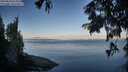 ./images/koeye/fitz-hugh/20250820/fitz-hugh20250820_074510M.jpg