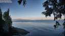 ./images/koeye/fitz-hugh/20250820/fitz-hugh20250820_075011M.jpg