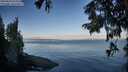 ./images/koeye/fitz-hugh/20250820/fitz-hugh20250820_075510M.jpg