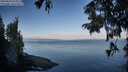 ./images/koeye/fitz-hugh/20250820/fitz-hugh20250820_080012M.jpg
