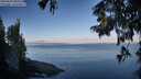 ./images/koeye/fitz-hugh/20250820/fitz-hugh20250820_080510M.jpg
