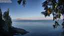 ./images/koeye/fitz-hugh/20250820/fitz-hugh20250820_081010M.jpg