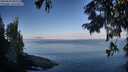 ./images/koeye/fitz-hugh/20250820/fitz-hugh20250820_081509M.jpg