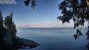 ./images/koeye/fitz-hugh/20250820/fitz-hugh20250820_082011M.jpg