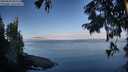 ./images/koeye/fitz-hugh/20250820/fitz-hugh20250820_082513M.jpg