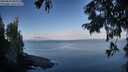 ./images/koeye/fitz-hugh/20250820/fitz-hugh20250820_083012M.jpg