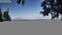 ./images/koeye/fitz-hugh/20250820/fitz-hugh20250820_083510M.jpg