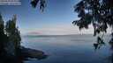 ./images/koeye/fitz-hugh/20250820/fitz-hugh20250820_084009M.jpg