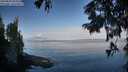 ./images/koeye/fitz-hugh/20250820/fitz-hugh20250820_084511M.jpg