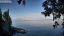 ./images/koeye/fitz-hugh/20250820/fitz-hugh20250820_085011M.jpg