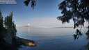 ./images/koeye/fitz-hugh/20250820/fitz-hugh20250820_090012M.jpg