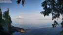 ./images/koeye/fitz-hugh/20250820/fitz-hugh20250820_090510M.jpg