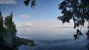 ./images/koeye/fitz-hugh/20250820/fitz-hugh20250820_092010M.jpg