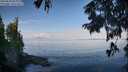 ./images/koeye/fitz-hugh/20250820/fitz-hugh20250820_093011M.jpg