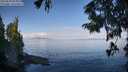 ./images/koeye/fitz-hugh/20250820/fitz-hugh20250820_095009M.jpg