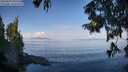./images/koeye/fitz-hugh/20250820/fitz-hugh20250820_095510M.jpg