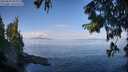 ./images/koeye/fitz-hugh/20250820/fitz-hugh20250820_100012M.jpg