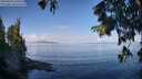./images/koeye/fitz-hugh/20250820/fitz-hugh20250820_100509M.jpg