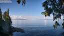 ./images/koeye/fitz-hugh/20250820/fitz-hugh20250820_101010M.jpg