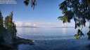 ./images/koeye/fitz-hugh/20250820/fitz-hugh20250820_101511M.jpg