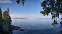 ./images/koeye/fitz-hugh/20250820/fitz-hugh20250820_102010M.jpg
