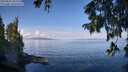 ./images/koeye/fitz-hugh/20250820/fitz-hugh20250820_102513M.jpg
