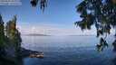 ./images/koeye/fitz-hugh/20250820/fitz-hugh20250820_103012M.jpg