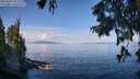 ./images/koeye/fitz-hugh/20250820/fitz-hugh20250820_103510M.jpg