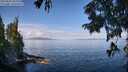 ./images/koeye/fitz-hugh/20250820/fitz-hugh20250820_104010M.jpg