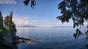 ./images/koeye/fitz-hugh/20250820/fitz-hugh20250820_104511M.jpg