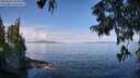 ./images/koeye/fitz-hugh/20250820/fitz-hugh20250820_105011M.jpg
