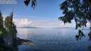./images/koeye/fitz-hugh/20250820/fitz-hugh20250820_110012M.jpg