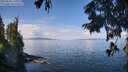 ./images/koeye/fitz-hugh/20250820/fitz-hugh20250820_111011M.jpg