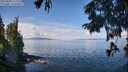 ./images/koeye/fitz-hugh/20250820/fitz-hugh20250820_111511M.jpg