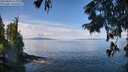 ./images/koeye/fitz-hugh/20250820/fitz-hugh20250820_112011M.jpg