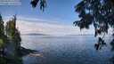 ./images/koeye/fitz-hugh/20250820/fitz-hugh20250820_112514M.jpg