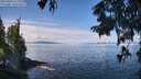 ./images/koeye/fitz-hugh/20250820/fitz-hugh20250820_113011M.jpg