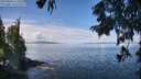 ./images/koeye/fitz-hugh/20250820/fitz-hugh20250820_113510M.jpg