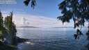 ./images/koeye/fitz-hugh/20250820/fitz-hugh20250820_114010M.jpg