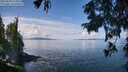 ./images/koeye/fitz-hugh/20250820/fitz-hugh20250820_115011M.jpg