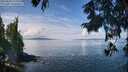 ./images/koeye/fitz-hugh/20250820/fitz-hugh20250820_120012M.jpg
