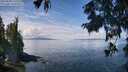 ./images/koeye/fitz-hugh/20250820/fitz-hugh20250820_120510M.jpg