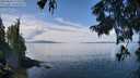 ./images/koeye/fitz-hugh/20250820/fitz-hugh20250820_122514M.jpg