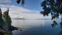 ./images/koeye/fitz-hugh/20250820/fitz-hugh20250820_124011M.jpg