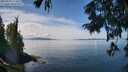 ./images/koeye/fitz-hugh/20250820/fitz-hugh20250820_124510M.jpg