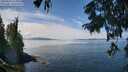 ./images/koeye/fitz-hugh/20250820/fitz-hugh20250820_125010M.jpg