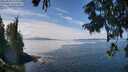 ./images/koeye/fitz-hugh/20250820/fitz-hugh20250820_125511M.jpg