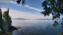 ./images/koeye/fitz-hugh/20250820/fitz-hugh20250820_130510M.jpg